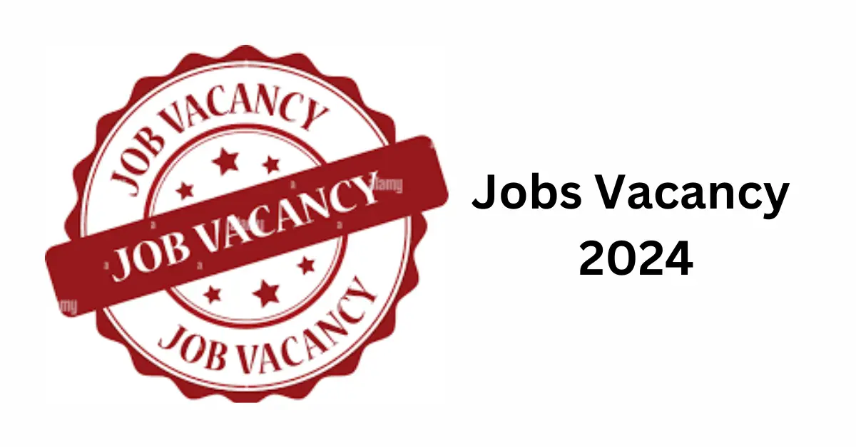 Jobs Vacancy 2024