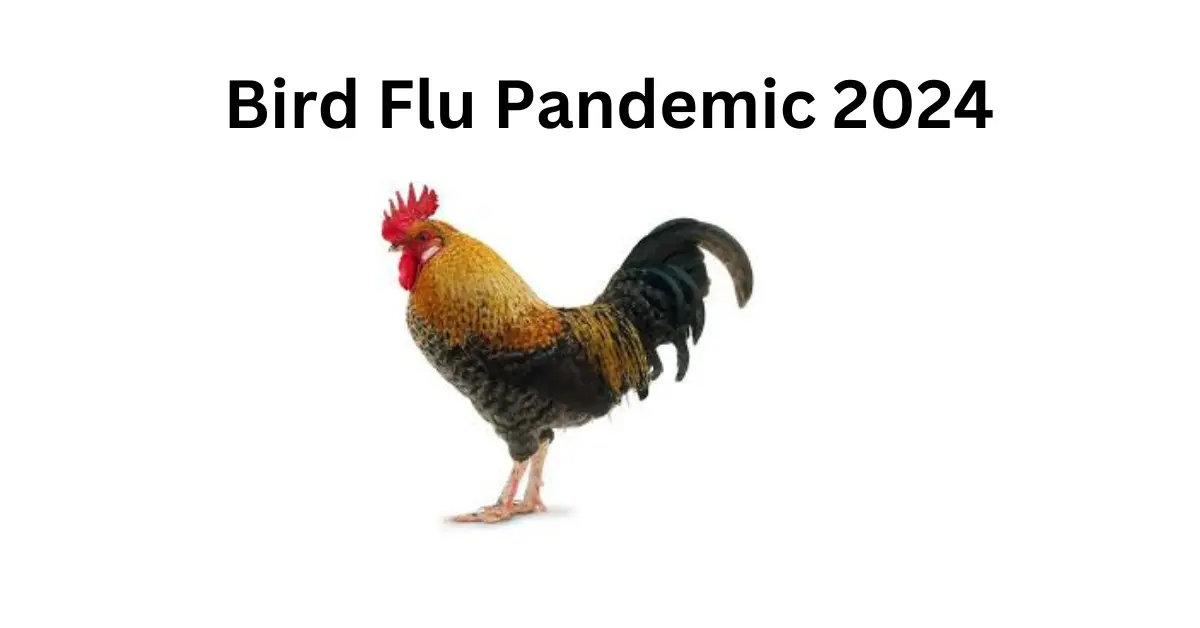 Bird flu